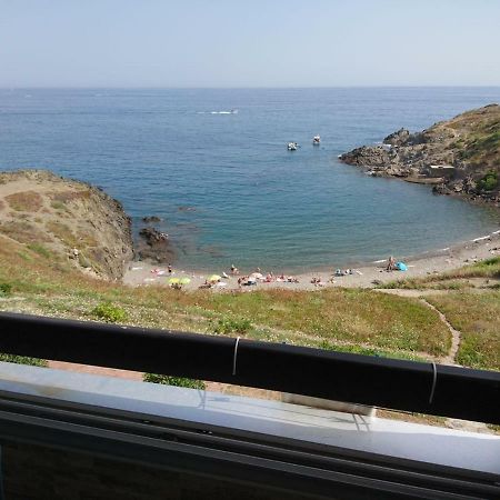 Portvendres Sea View Daire Port Vendres Dış mekan fotoğraf