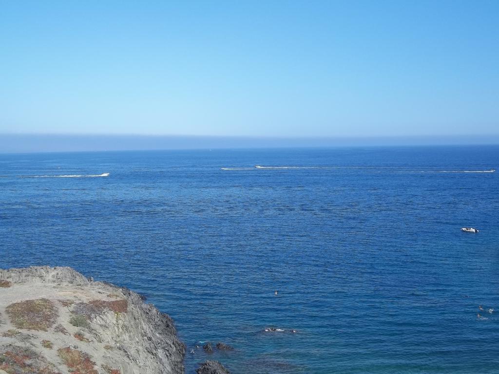 Portvendres Sea View Daire Port Vendres Dış mekan fotoğraf
