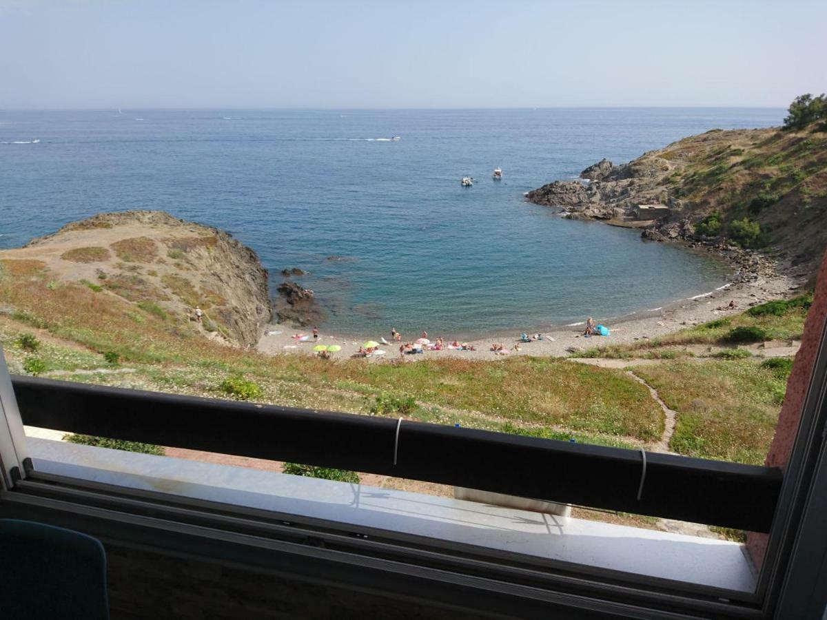 Portvendres Sea View Daire Port Vendres Dış mekan fotoğraf